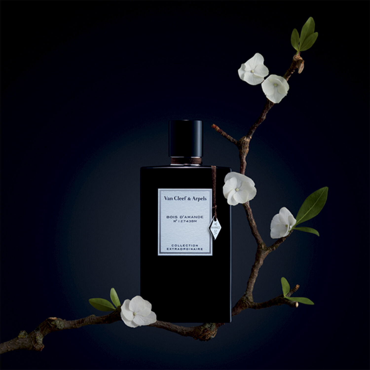 Bois D'amande Eau de Parfum