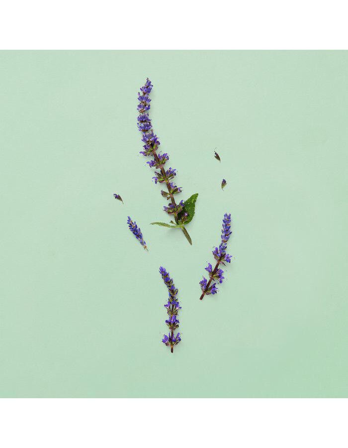 GUCCI Guilty PH Parfume Eau de parfum