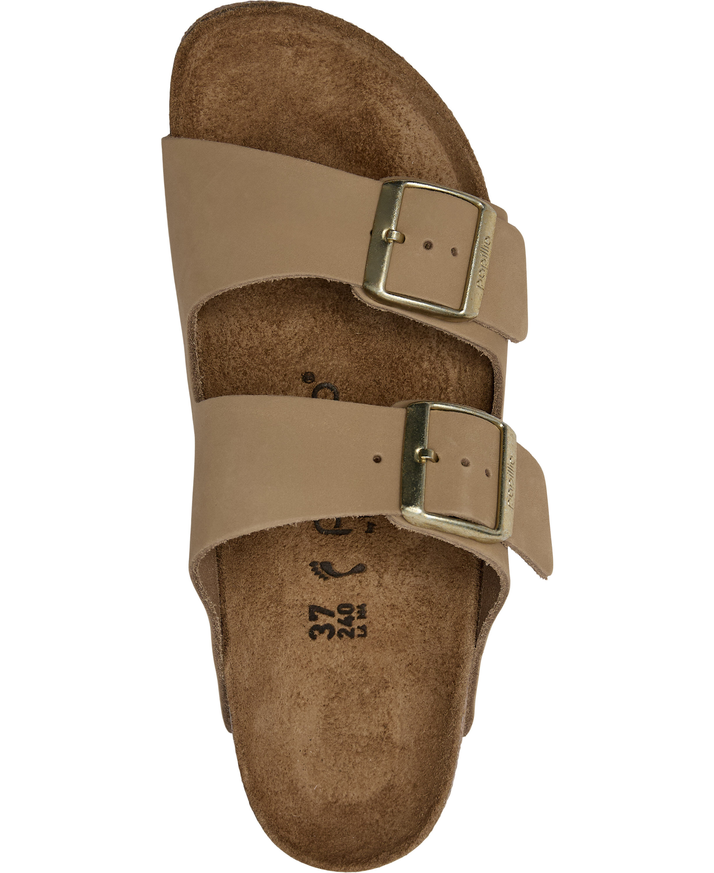 Arizona Flex Platform LENB Sandcastle