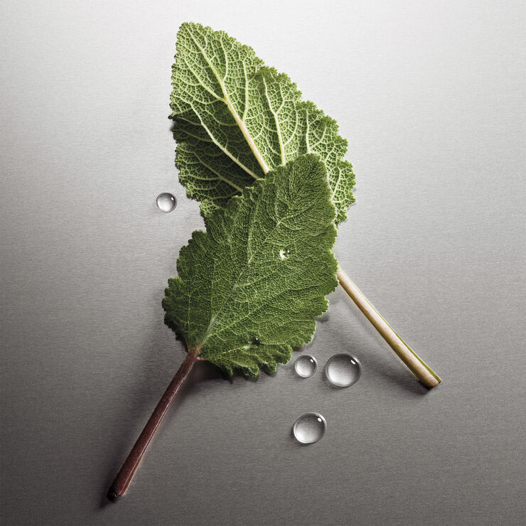 Pour Homme Eau de Parfum