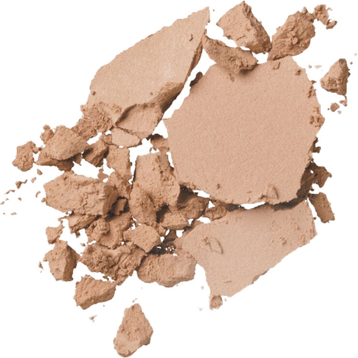 Cellular Performance Total Finish Foundation Refill