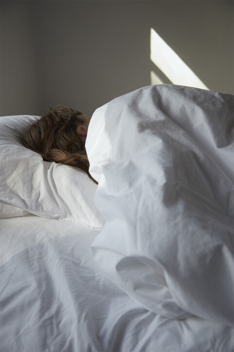 Fossflakes Winter Duvet