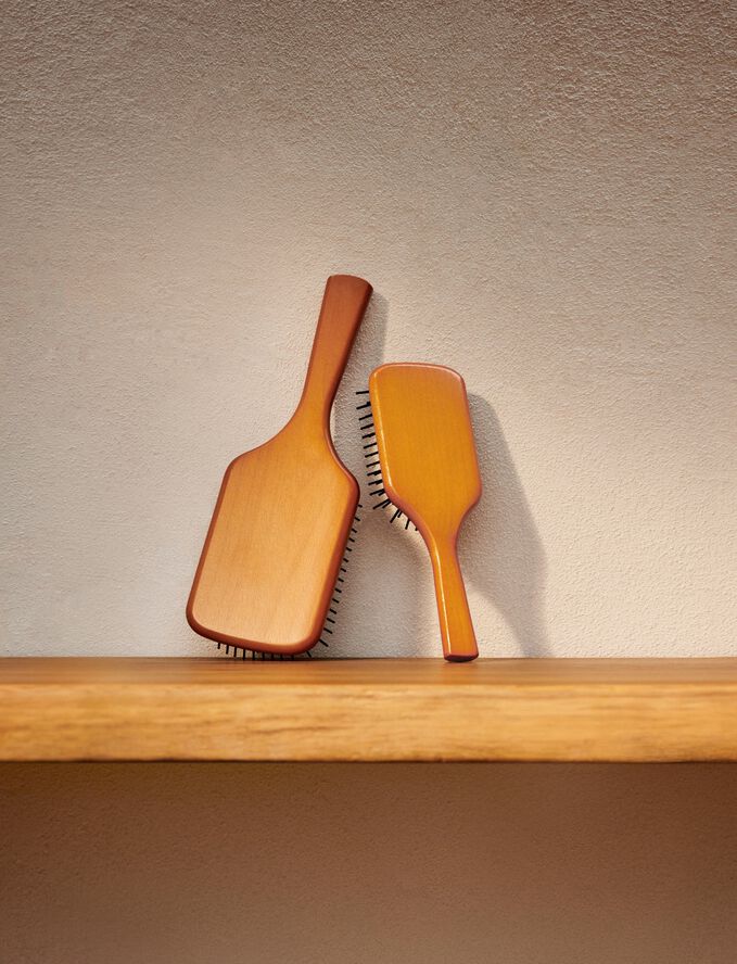 Mini Paddle Brush