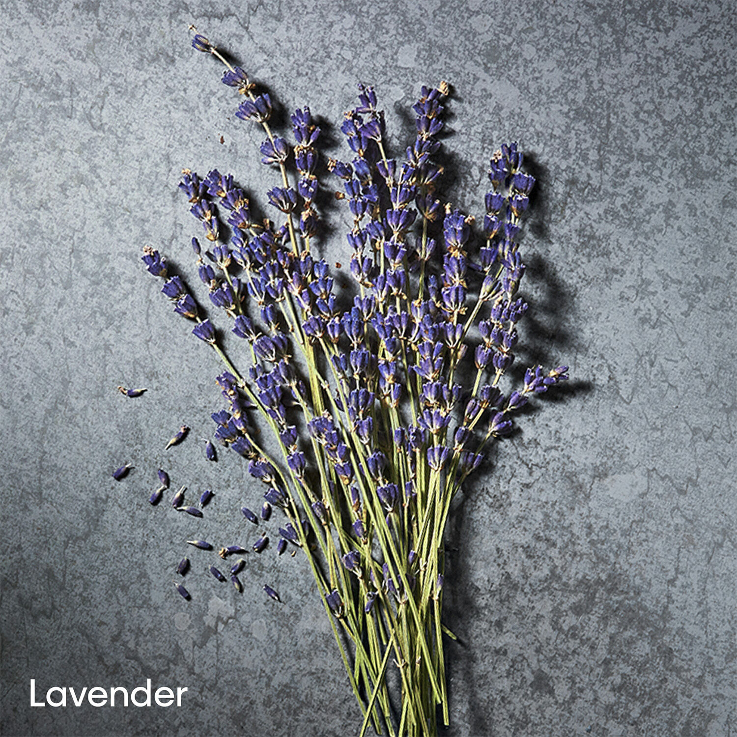 Defy Parfum Parfum 50. 0 ML