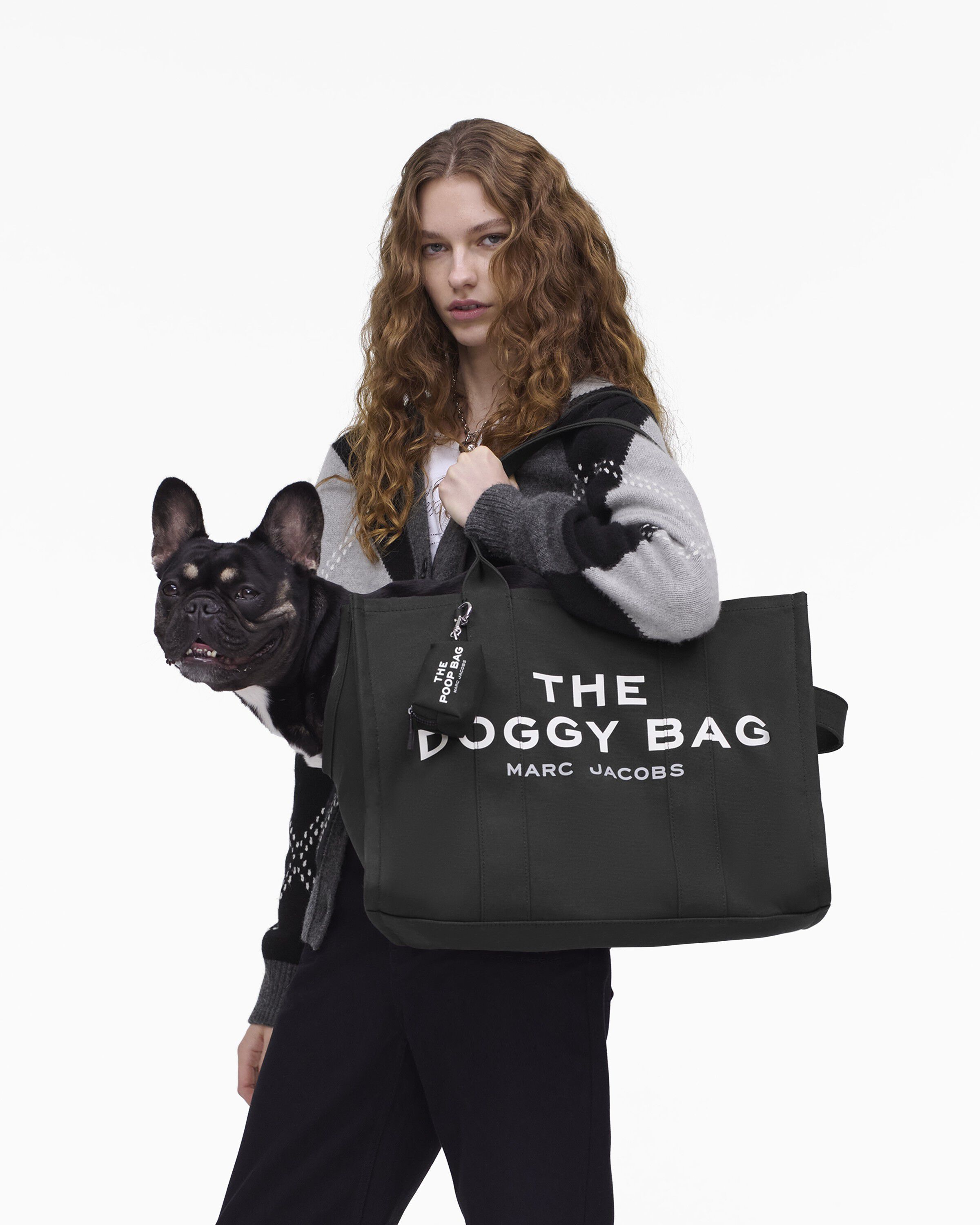 THE DOGGY BAG