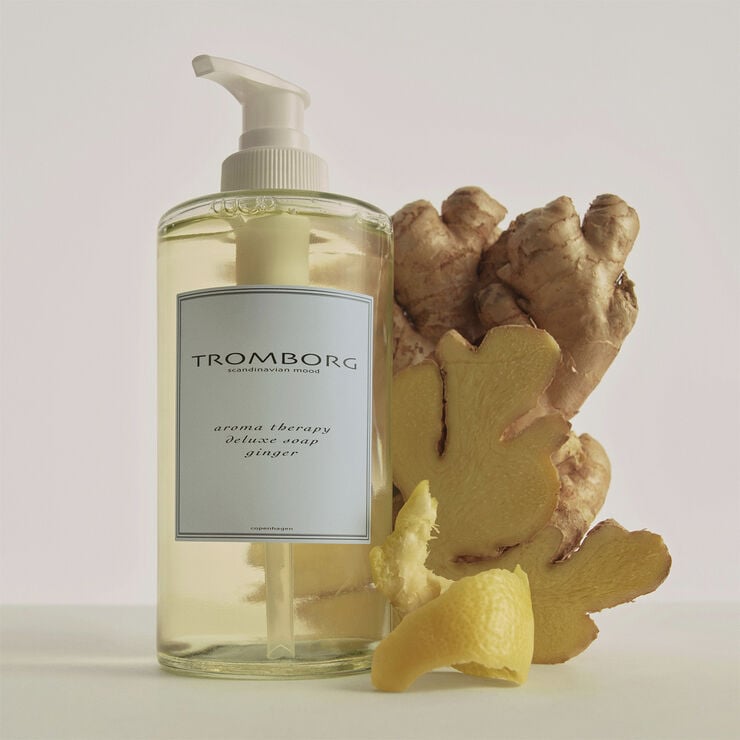 Aroma Therapy Deluxe Soap Ginger 20th Anniversary