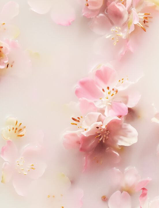 The Ritual of Sakura Whipped Body Cream Refill 220ml