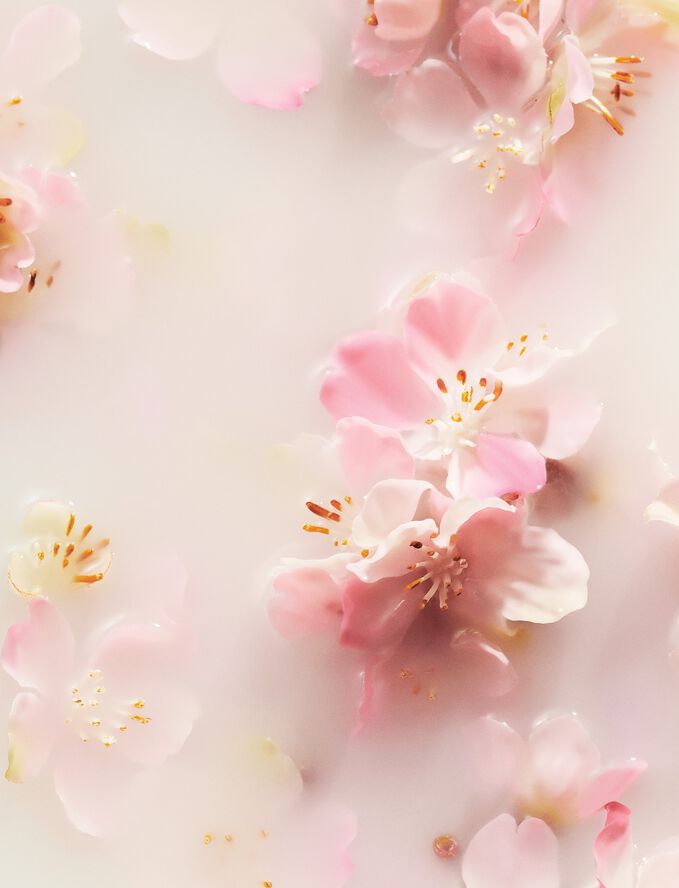 The Ritual of Sakura Whipped Body Cream Refill 220ml