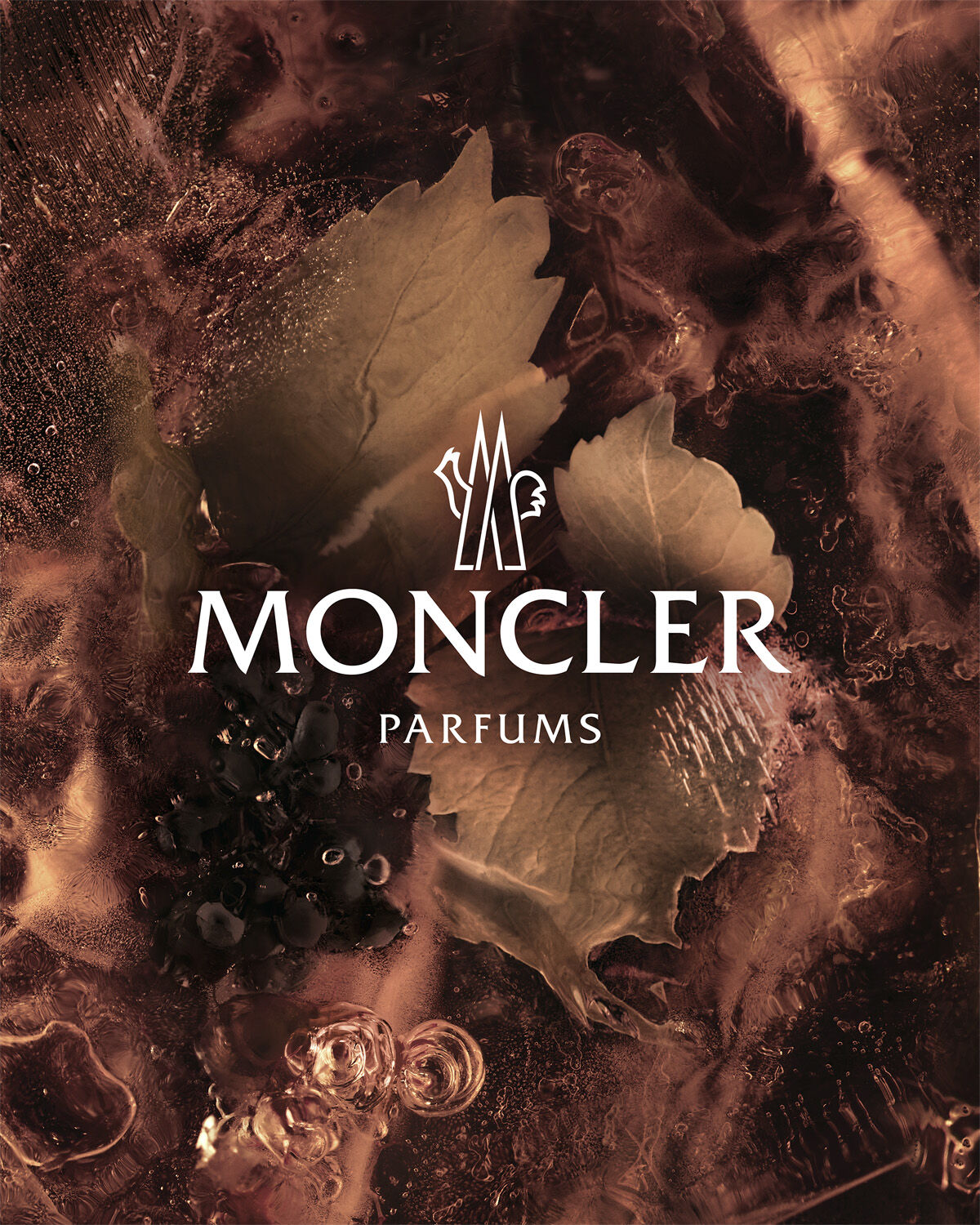 MCL LE ROC EDP 100ML