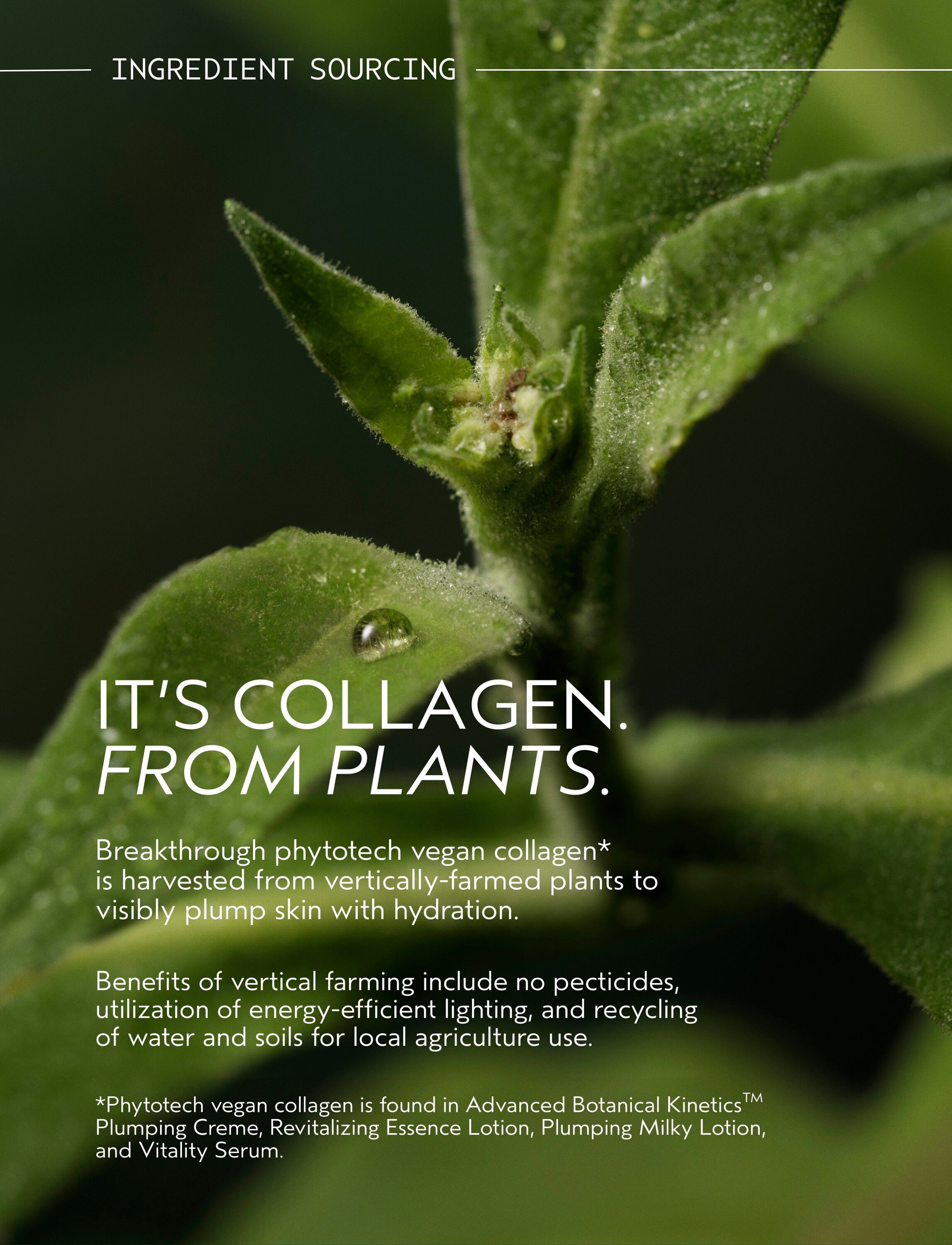 Advanced Botanical Kinetics&trade; Vitality Serum 30 ml