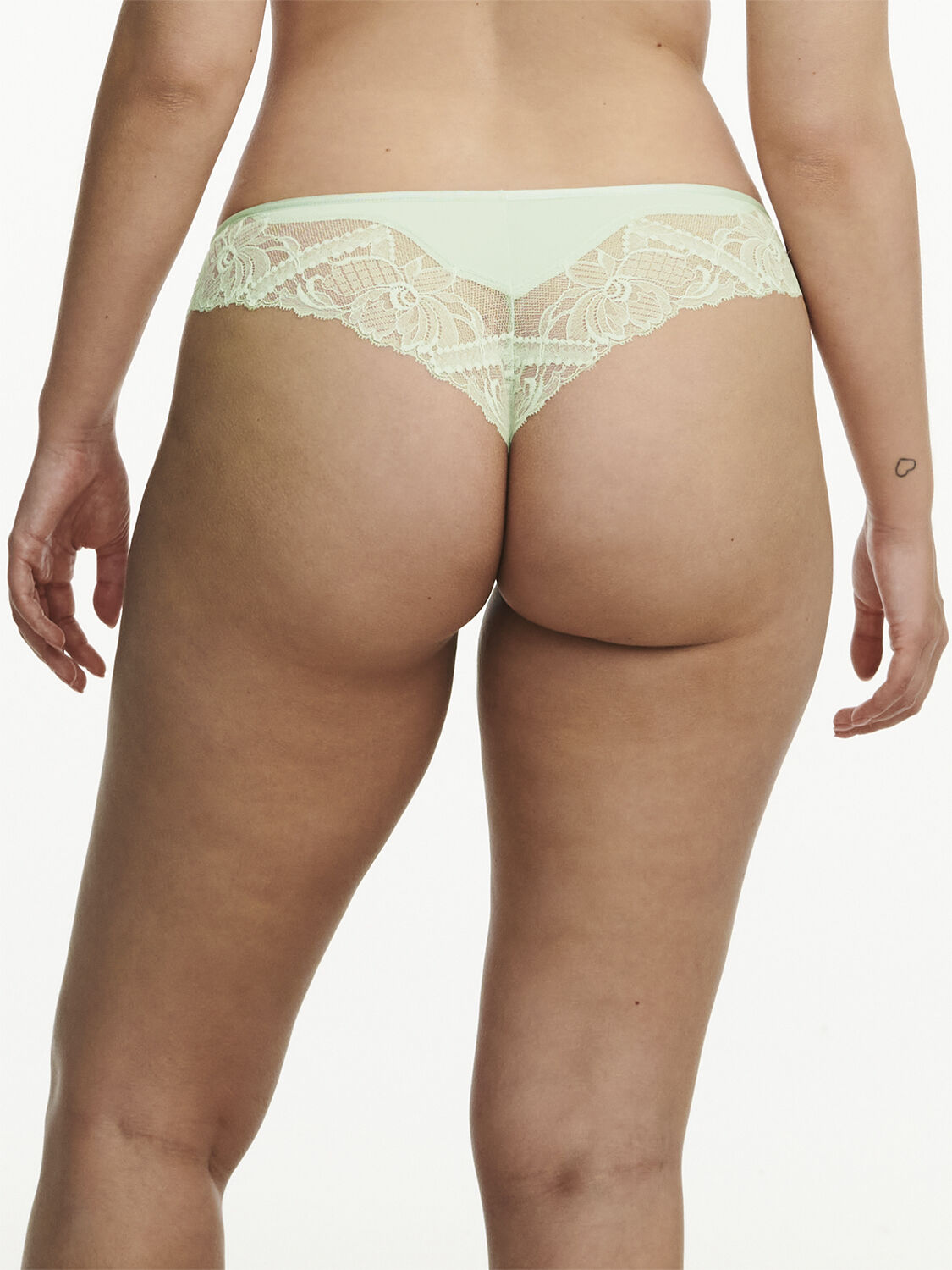Orangerie dream Tanga