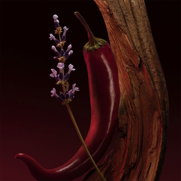 The Scent Elixir Parfum Intense