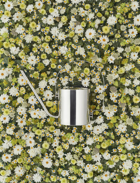 Original blomster vannkanne 1.7 l. steel