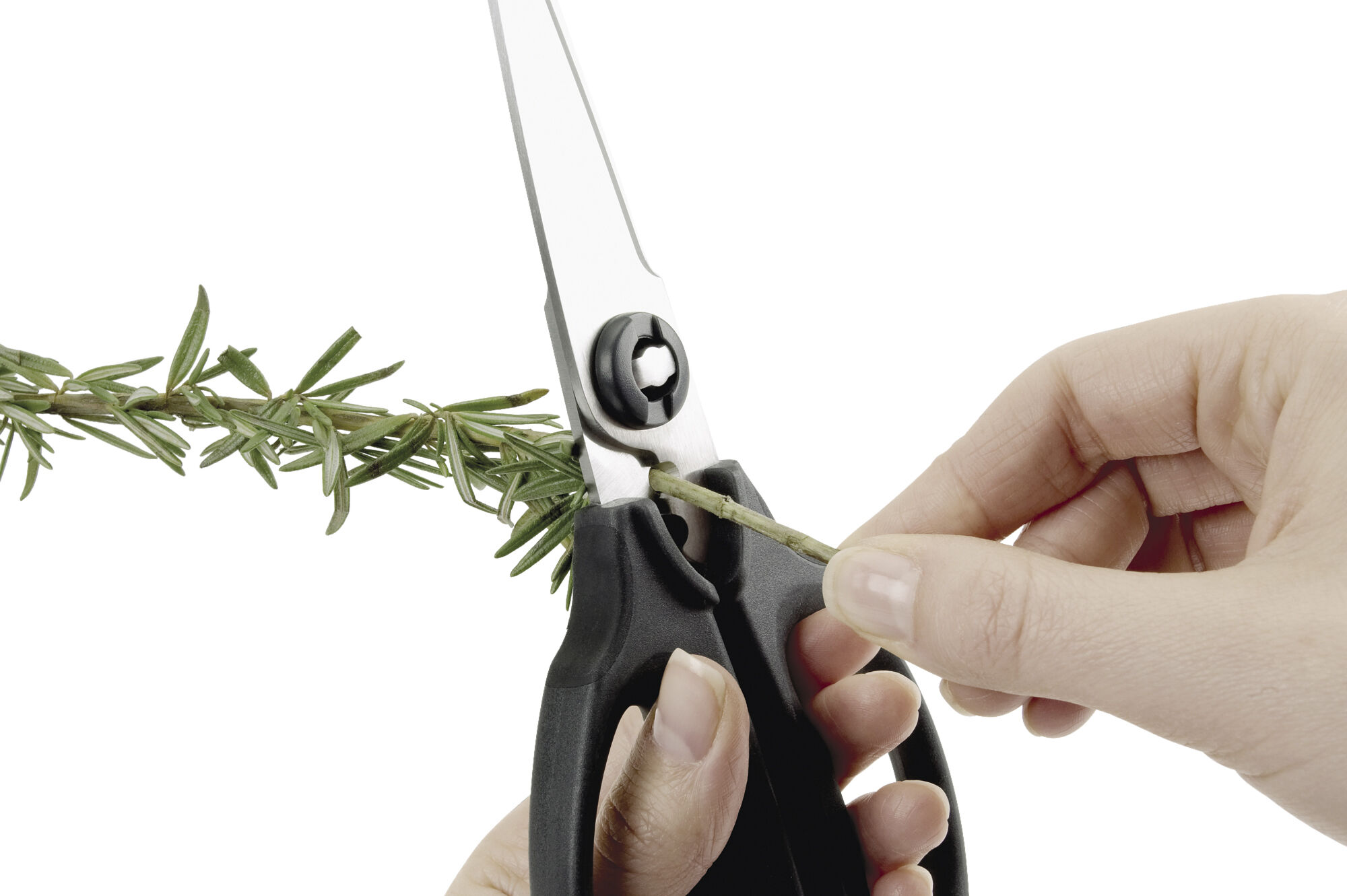 K&oslash;kken- & urtesaks