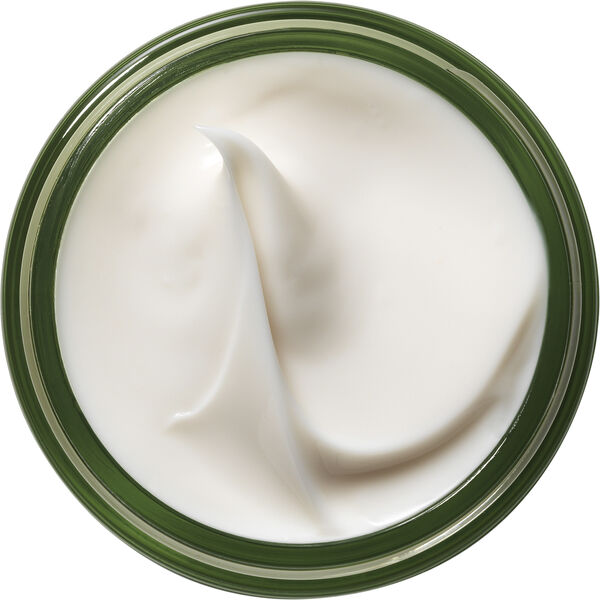 A Perfect World Antioxidant Moisturizer with White Tea