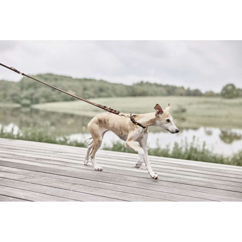 Robin Hundesnor - M/L