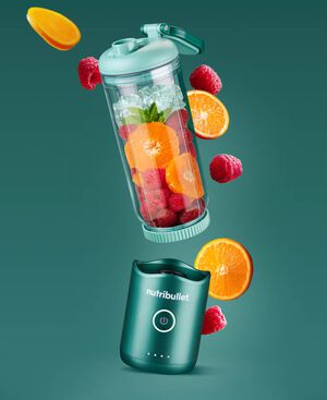 Flex b&aelig;rbar blender NBP013