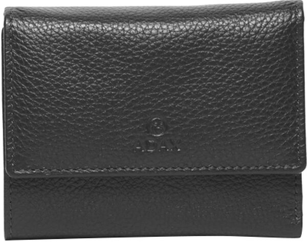 Cormorano pung regitze