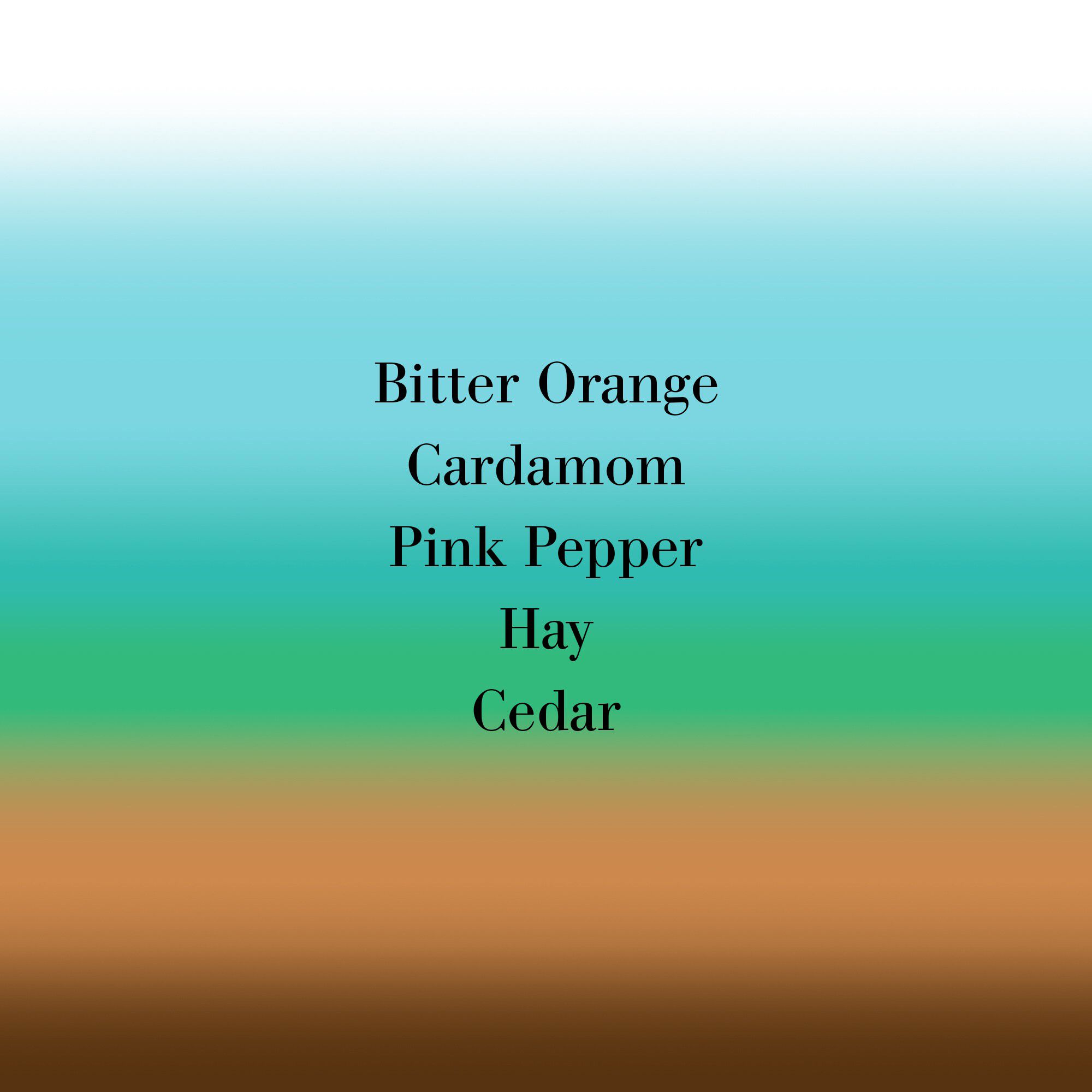 BIGARADE CONCENTREE ASMB 50ML/1. 7FL