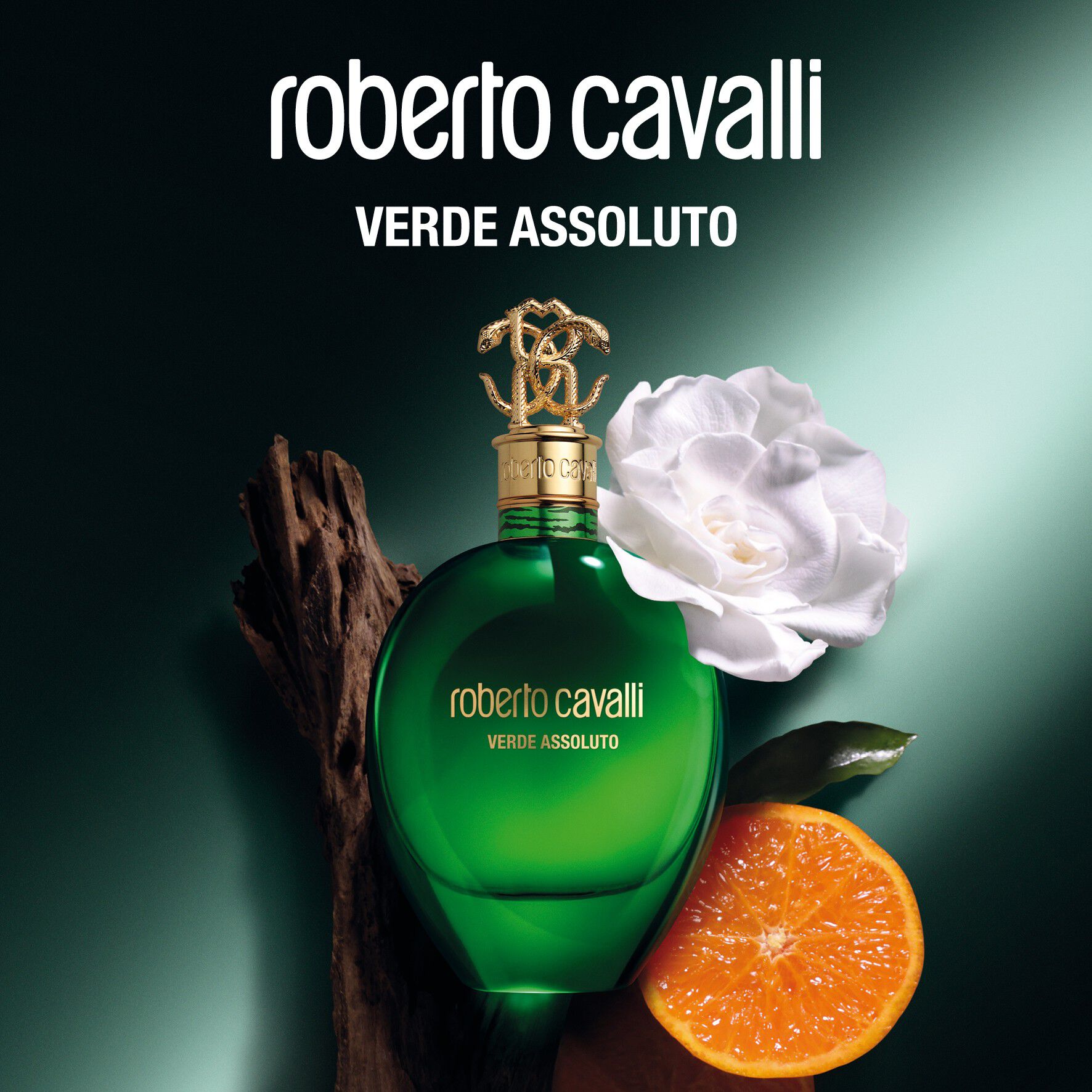 Signature Verde Assoluto