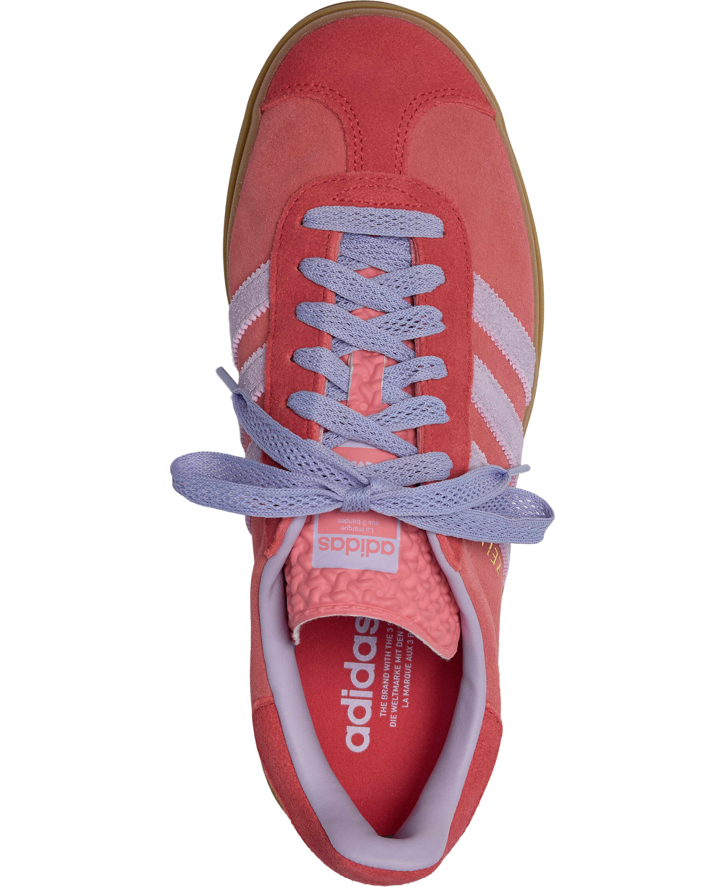 GAZELLE BOLD W