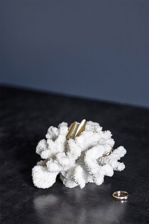 Coral, branches - small