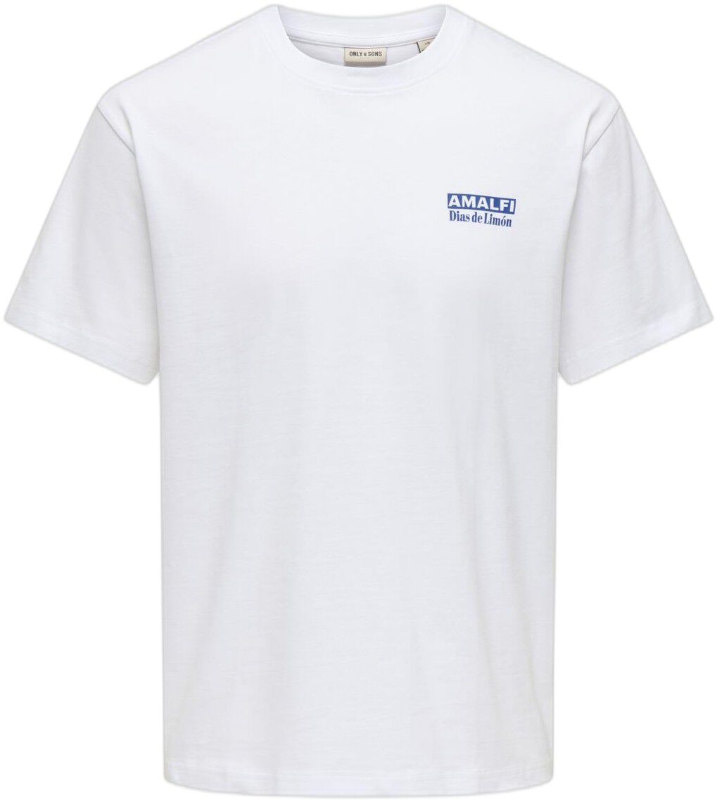 Onsfred Life Rlx Ss Print Tee Vd