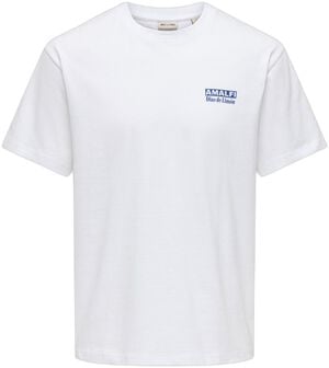 ONSFRED LIFE RLX SS PRINT TEE NOOS