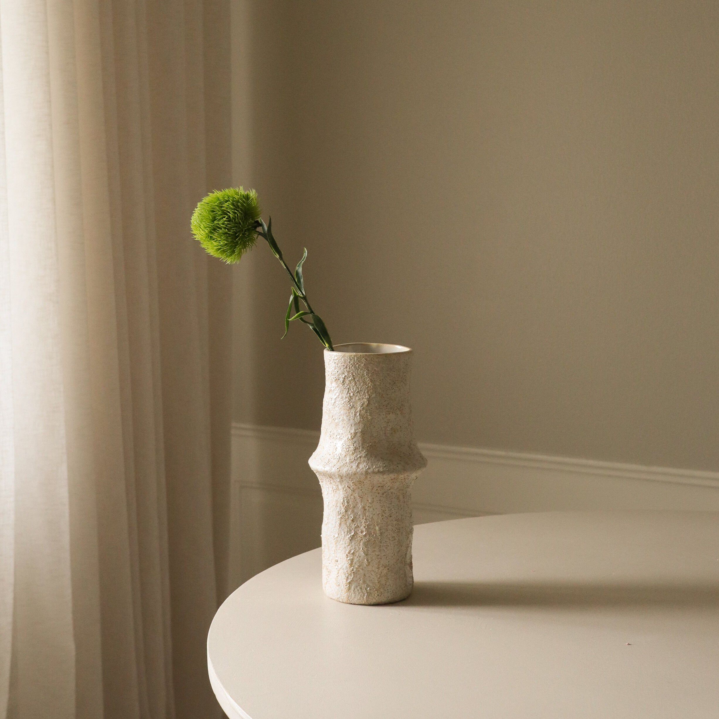 Dianthus Barbatus "Green Ball"