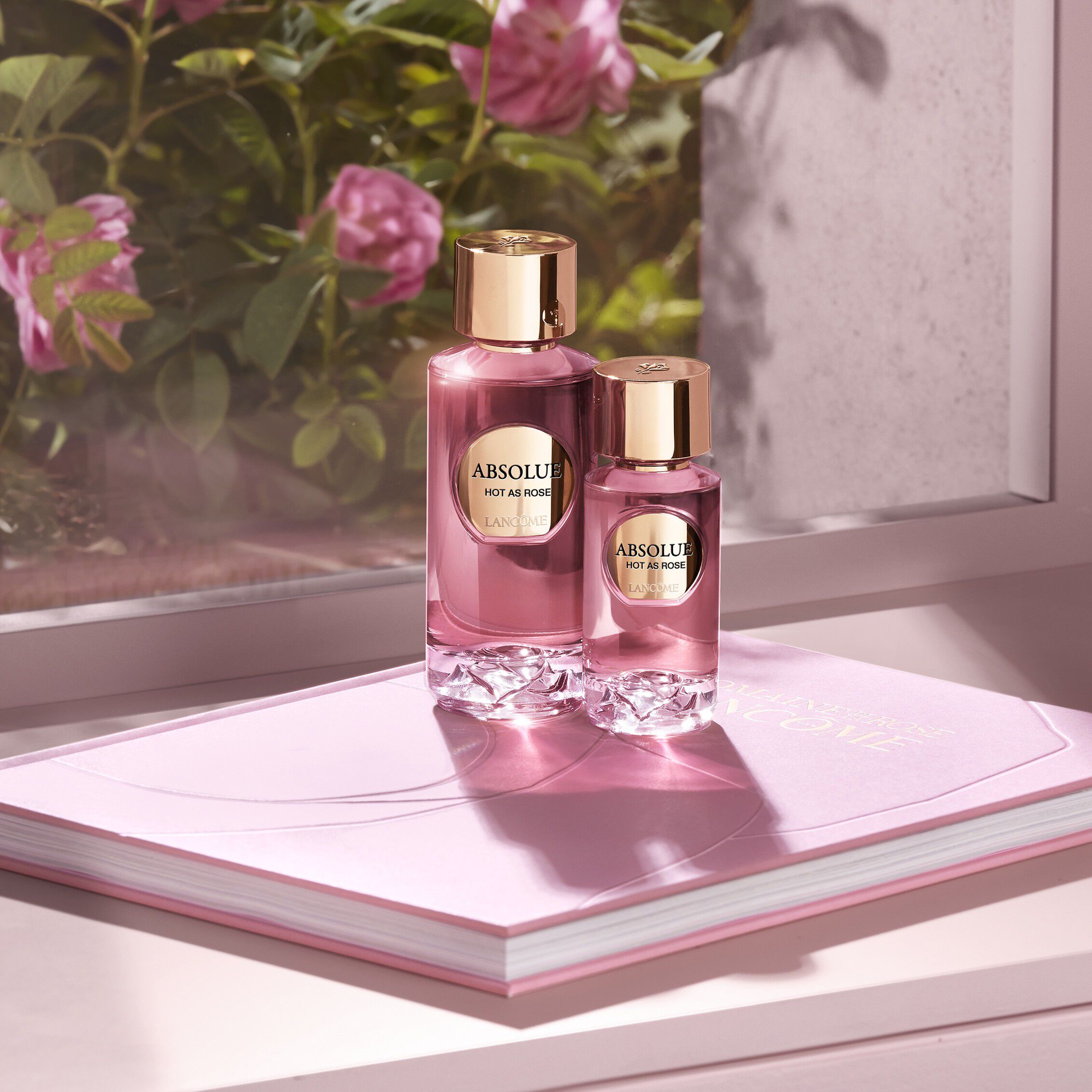 Absolue Les Parfums HOT AS ROSE Eau de Parfum