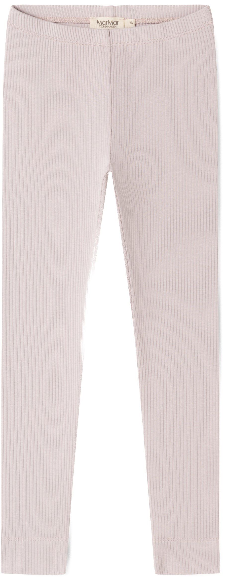 Leg