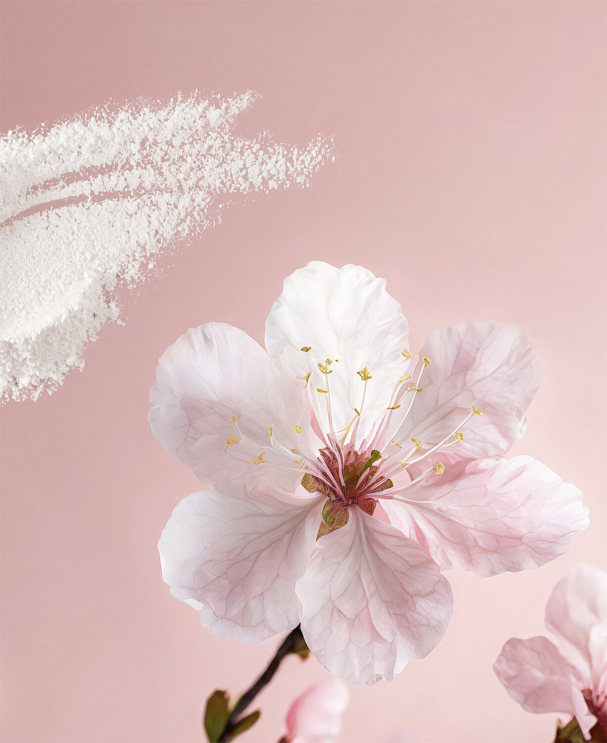 The Ritual of SakuraNaturalDeodorant75ml