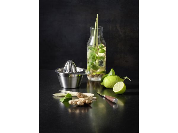 Sitruspresser 50 cl 14 x 12,2 cm Stål