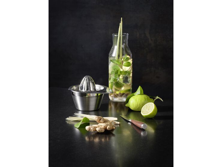 Sitruspresser 50 cl 14 x 12,2 cm Stål