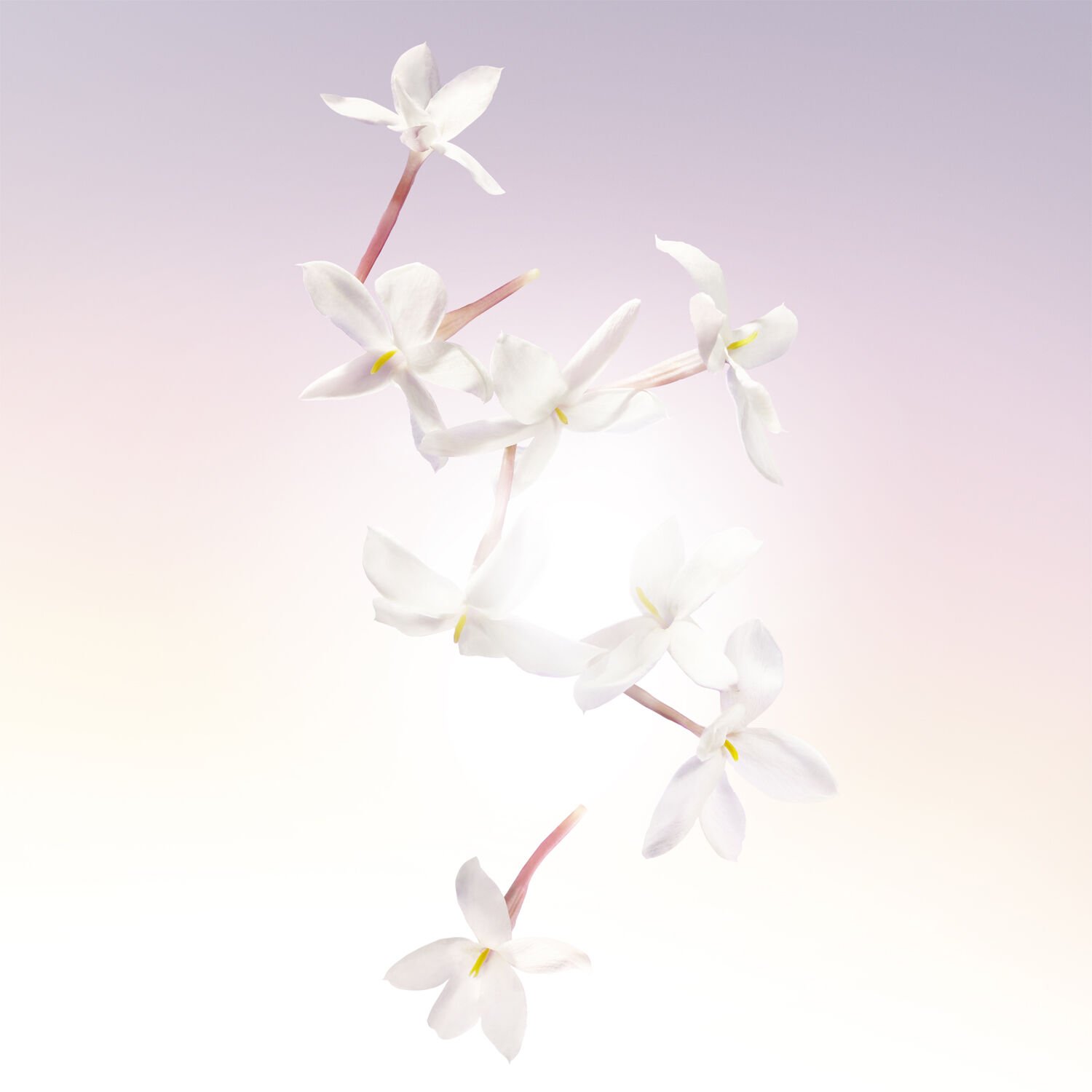 Id&ocirc;le Eau de Parfum