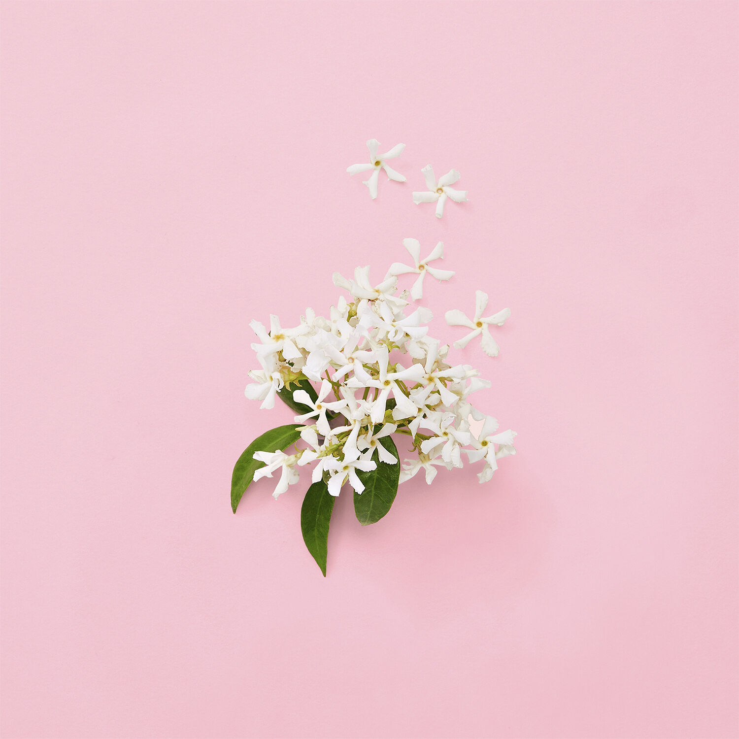 GUCCI Flora Gorgeous Gardenia Eau de parfum