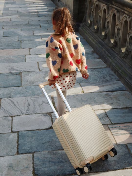 TRAVEL SUITCASE