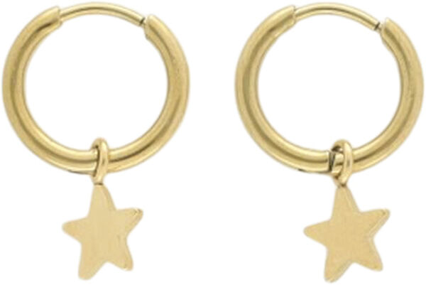 Small hoop earrings with star charm