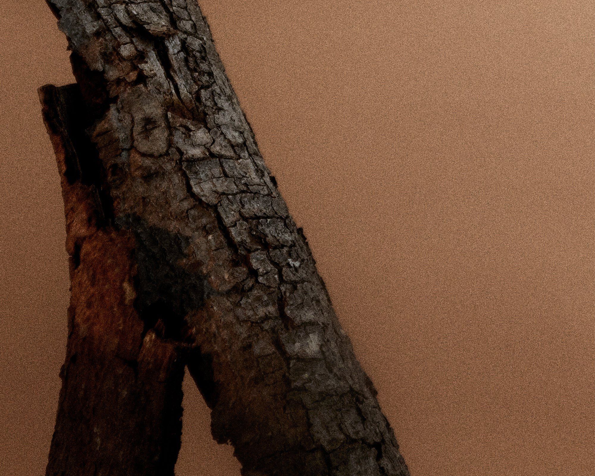 Eau de Parfum | St. Pauls | 50 mL