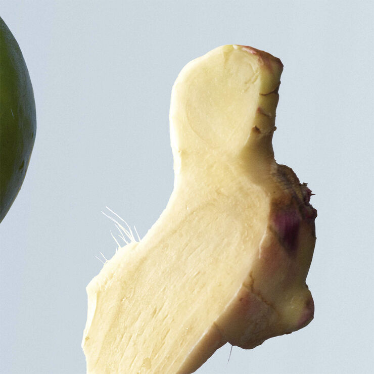 Bottled Tonic Eau De Toilette