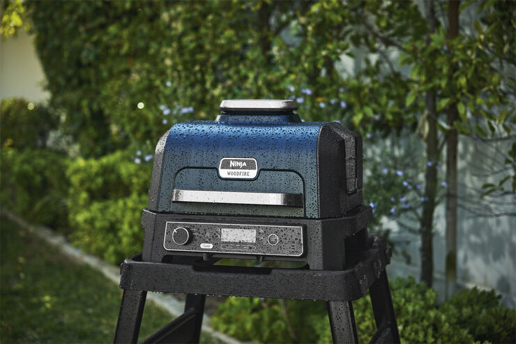 Ninja Woodfire OG850EU Smart Cook System XL Electric BBQ Gri