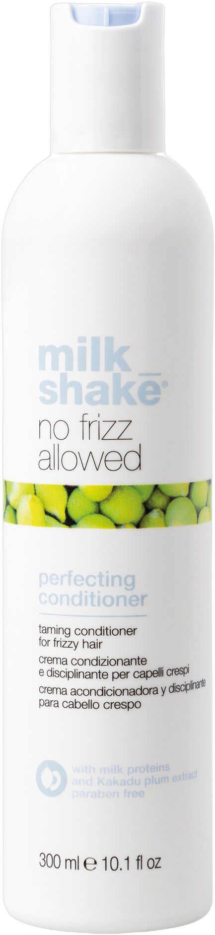 No Frizz Allowed Conditioner