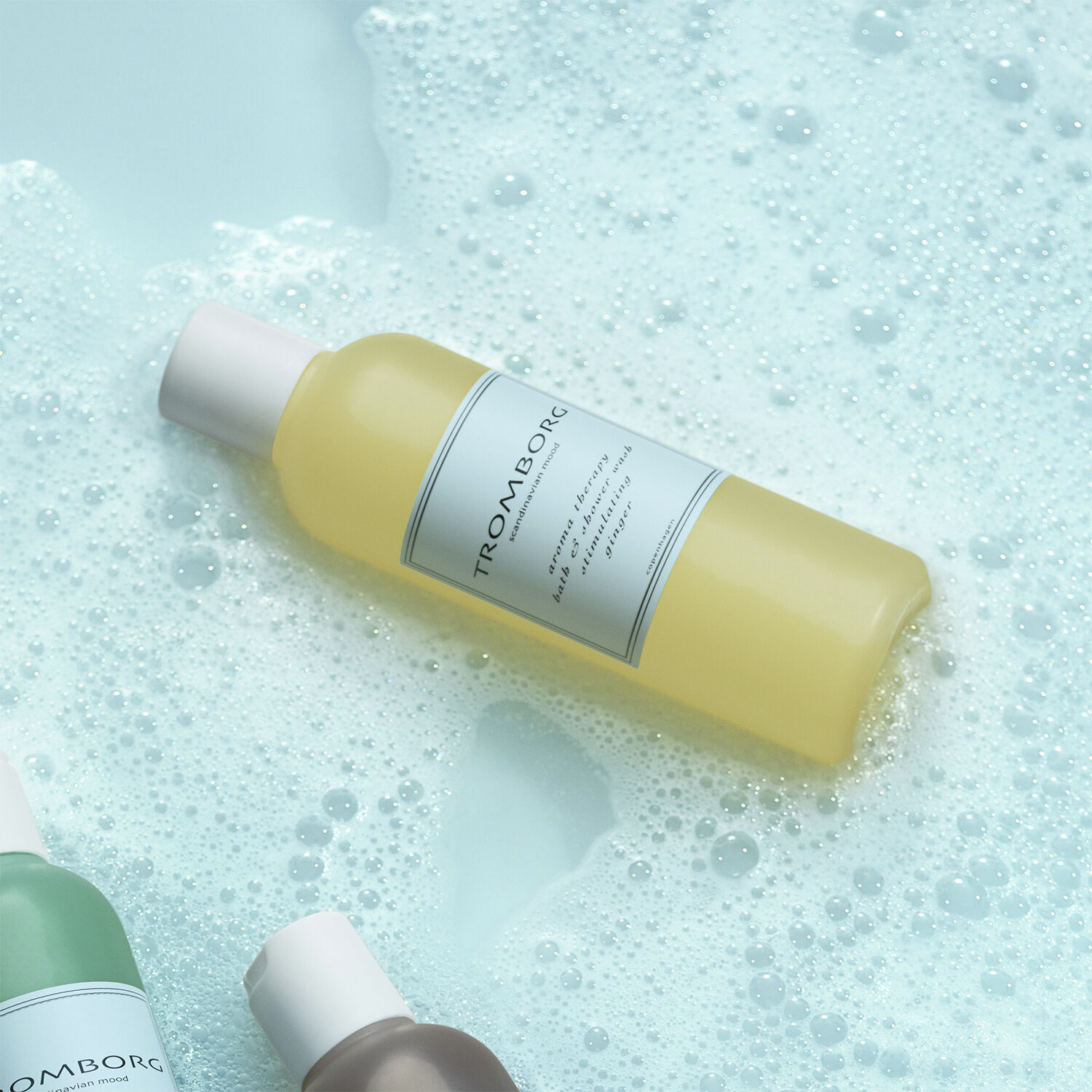 Aroma Therapy Bath & Shower Wash Ginger