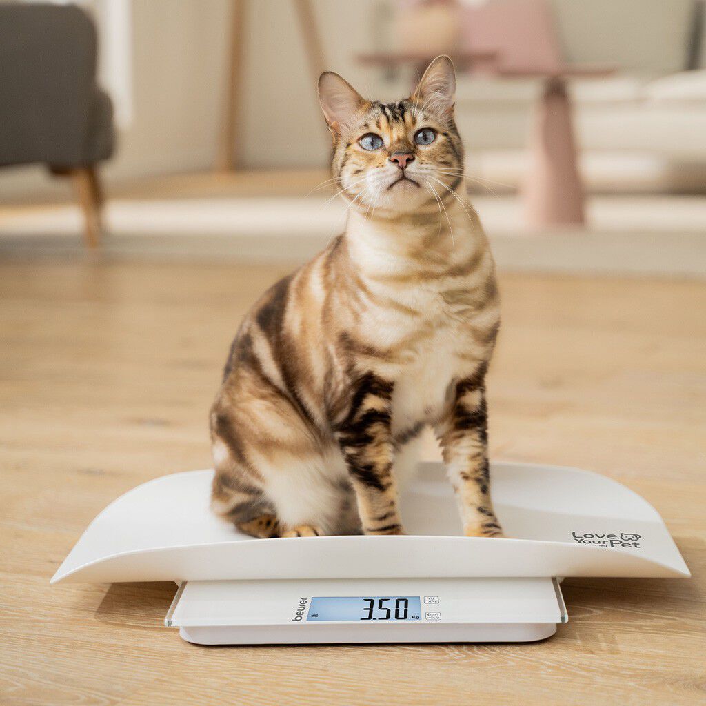 PetCare PP 170 Polly Multifunksjonsvekt for kj&aelig;ledyr