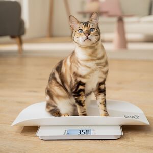 PetCare PP 170 Polly Multifunksjonsvekt for kjæledyr