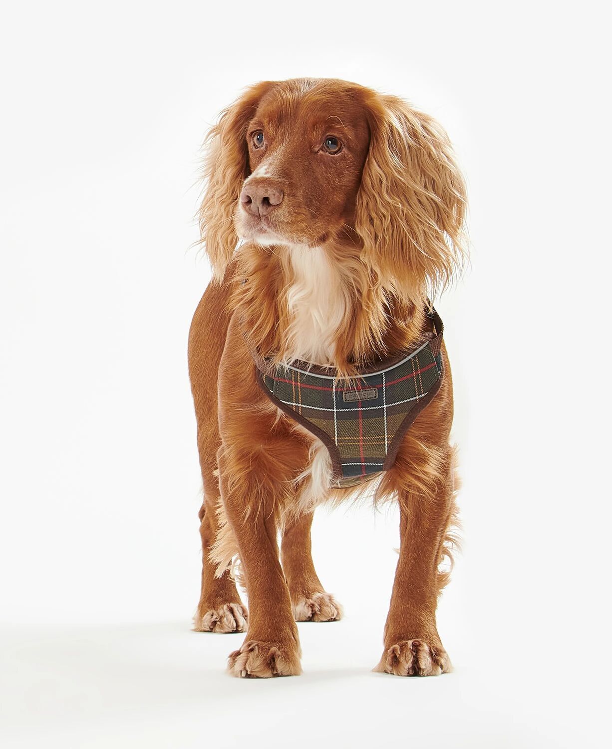 Barbour Trav/Exer Harn