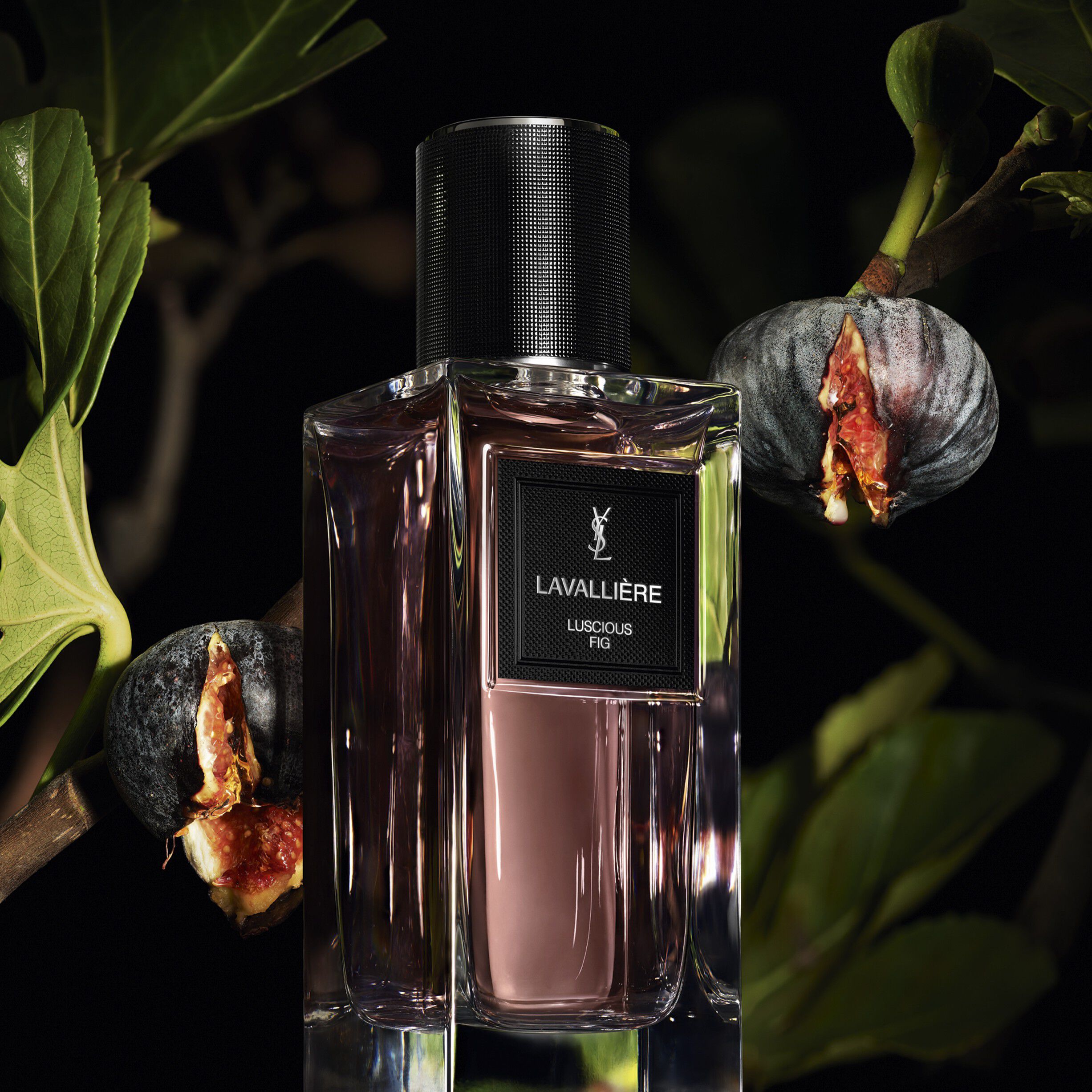 LAVALLIERE - Le Vestiaire des Parfums