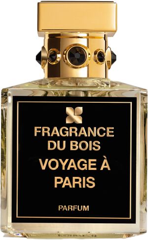 VOYAGE À PARIS