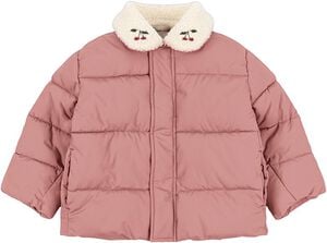 ALPI COLLAR JACKET GRS
