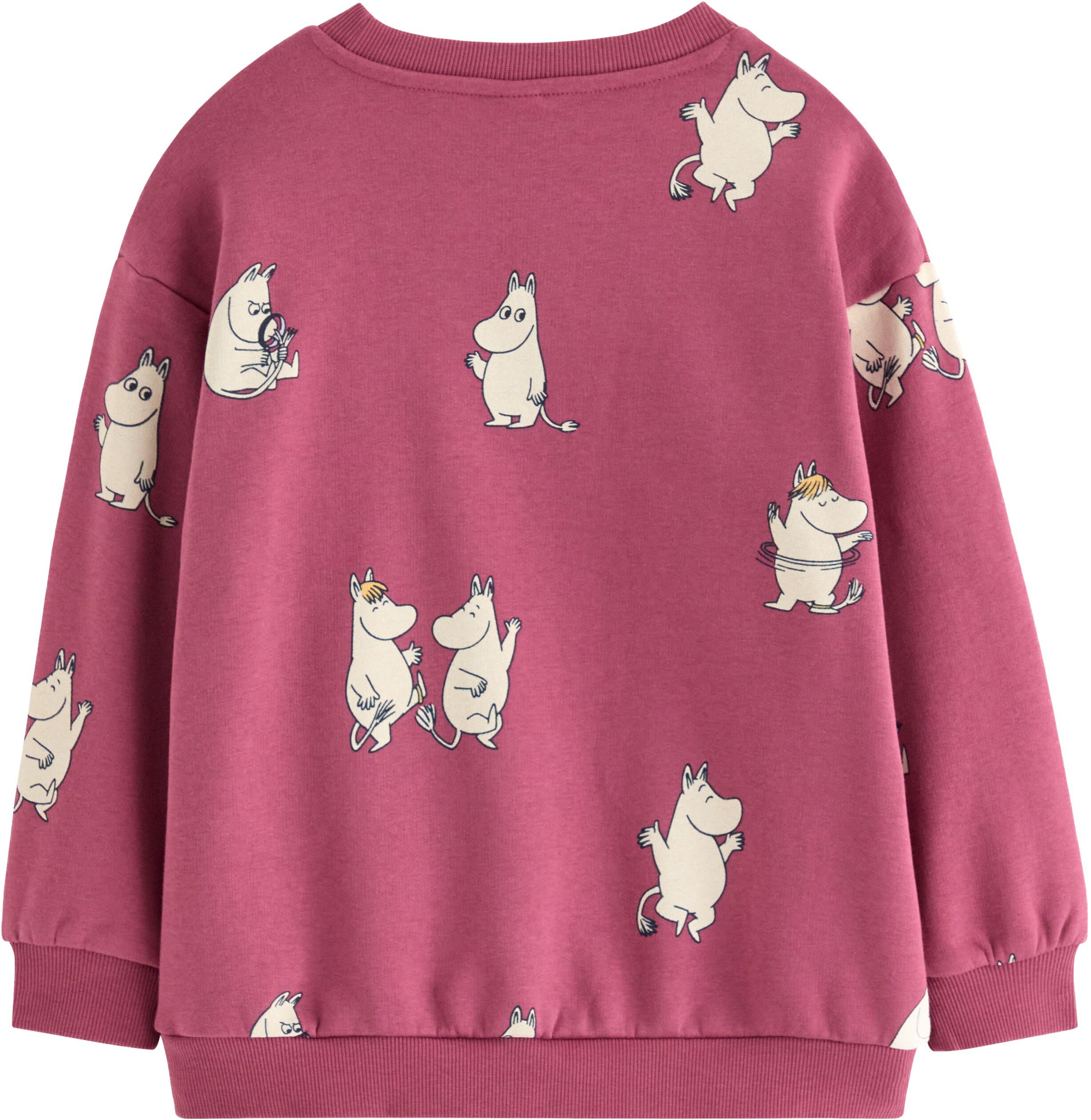 Mumin sweatshirt med borstad insida